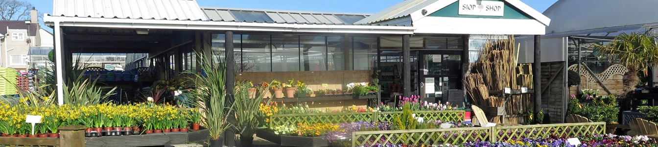 Welcome to Tyddyn Sachau